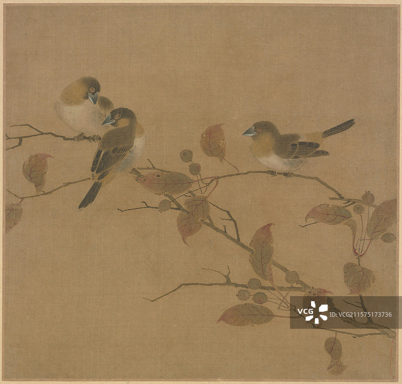 宋代绘画，佚名霜桕山鸟图页图片素材