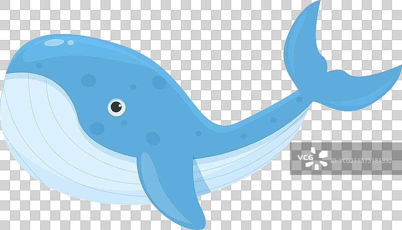 卡通蓝鲸在水中游泳图片素材