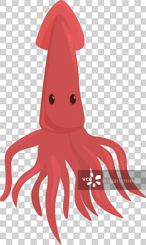 红色的章鱼在水下漂浮图片素材