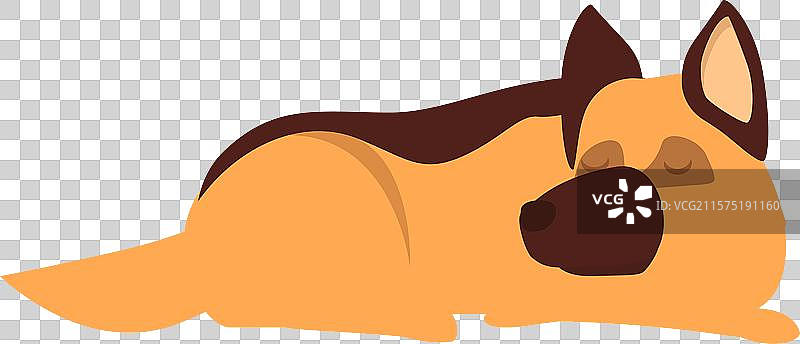 可爱的德国牧羊犬安静地睡着。图片素材