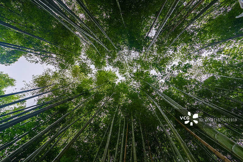 襄阳谷城县堰河乡村旅游区图片素材