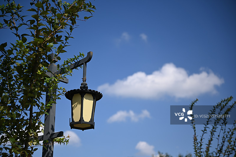 路灯 蓝天 白云 绿植 背景 空镜头 景色 桌面图片素材