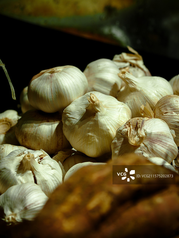 大蒜图片素材