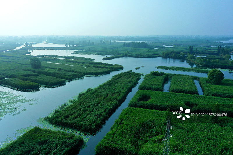 碧水翠荷莲花香，蜂蝶飞舞采蜜忙 亭亭玉立鱼游动，荷塘娇艳接天堂 花舫客船歌声亮，野鸭雁鹭低飞翔图片素材