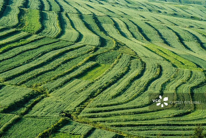 河北张家口草原天路风景图片素材
