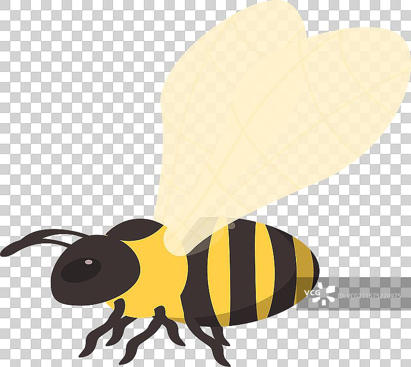 可爱的卡通蜜蜂展翅飞翔图片素材