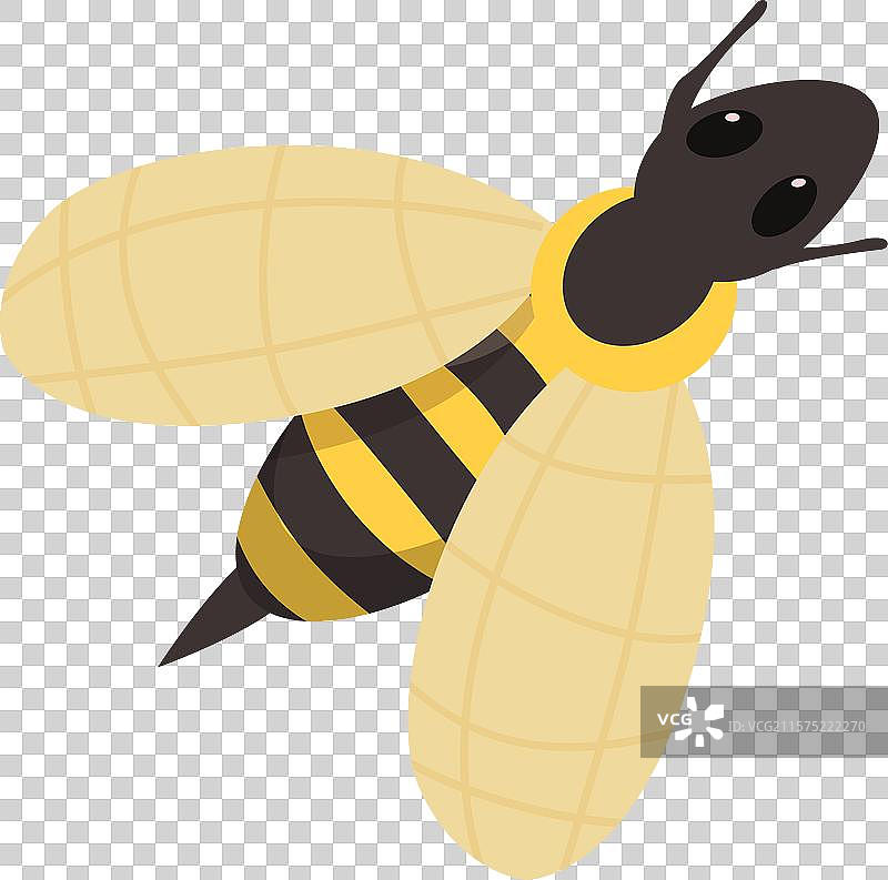 可爱的卡通蜜蜂快乐地飞翔和嗡嗡作响图片素材