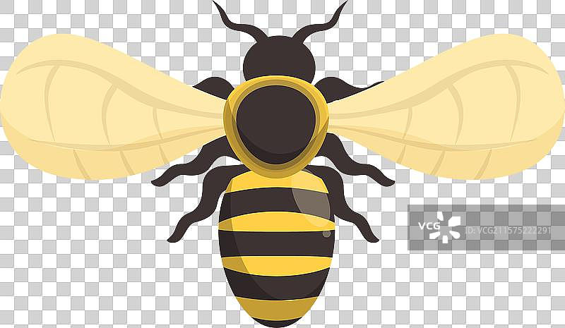 可爱的卡通蜜蜂展开翅膀飞翔图片素材