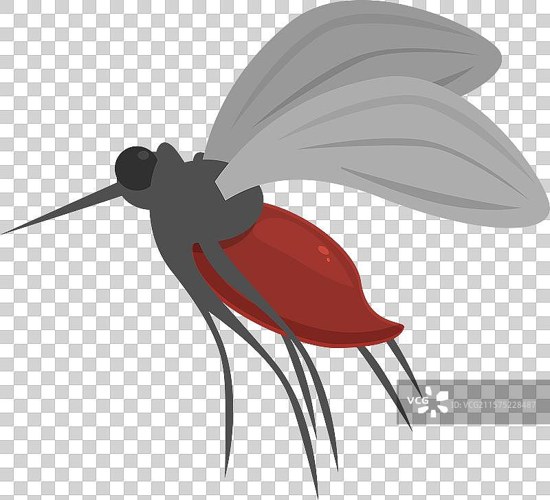 传播疟疾的危险蚊子图片素材