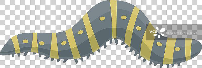 带黄色的条纹虫在地面上爬行图片素材