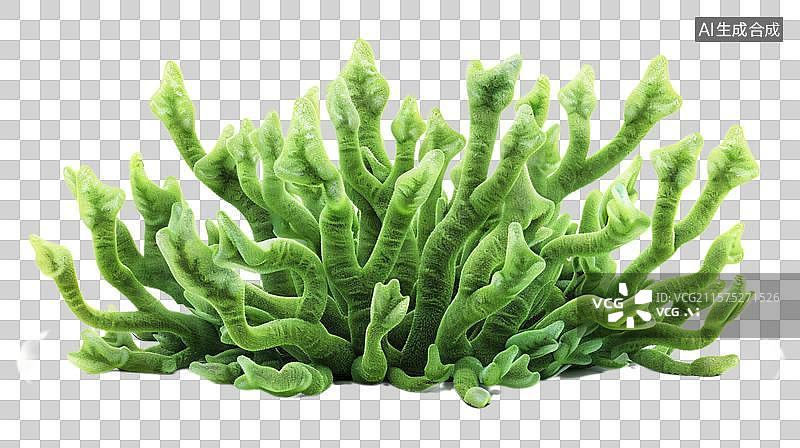 【AI数字艺术】卡通舞动的绿色海草 海藻 水草图片素材