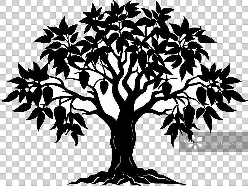 白色背景下的辣椒铃树图片素材