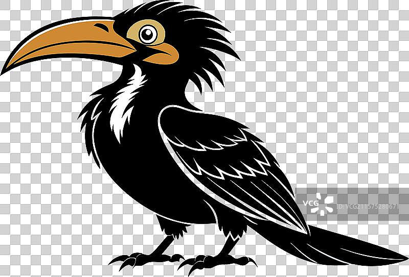 全身视角的令人印象深刻的喙鸟图片素材