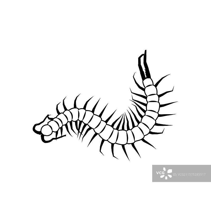 蜈蚣图标图片素材
