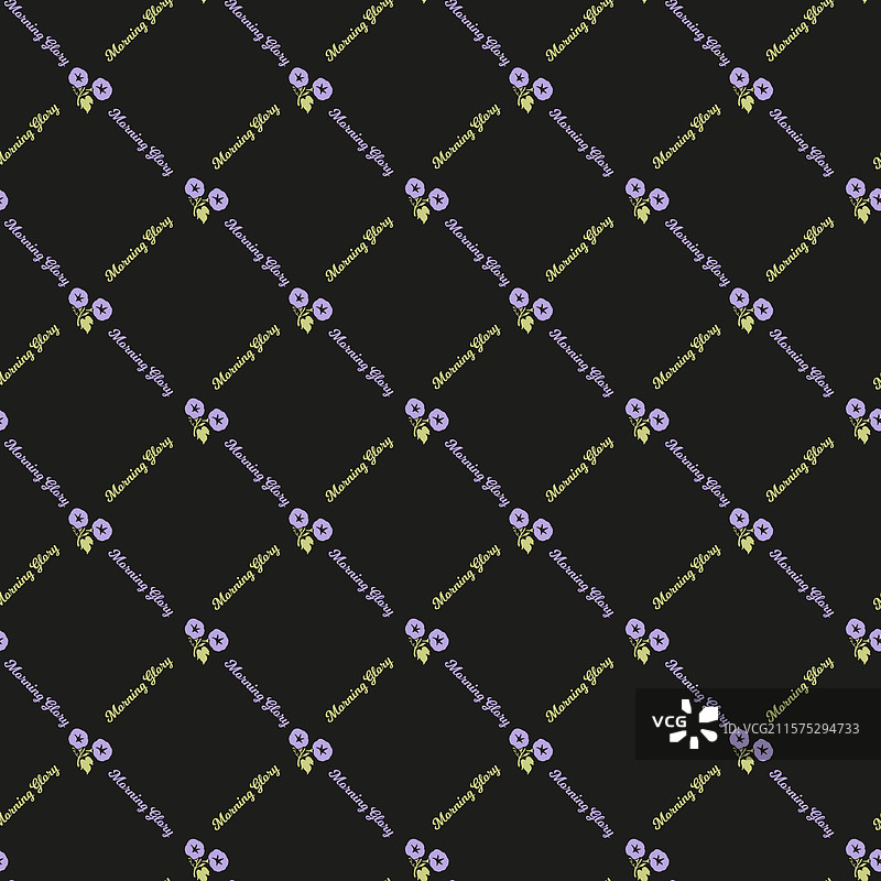 夜影美人剪影与晨光花卉图片素材