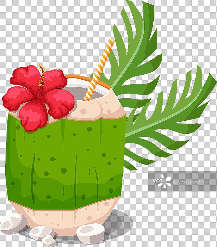 装饰有木槿花的椰子鸡尾酒饮品图片素材