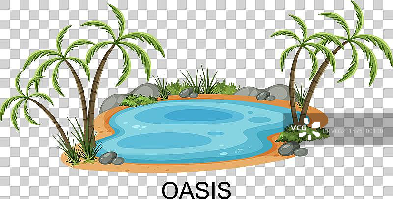 棕榈树环绕着宁静的水域图片素材