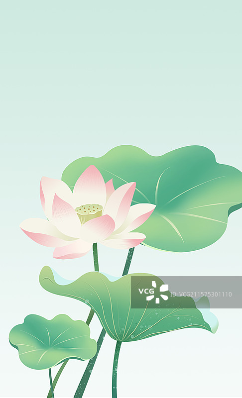 夏天夏至大暑小暑绿色背景图片素材