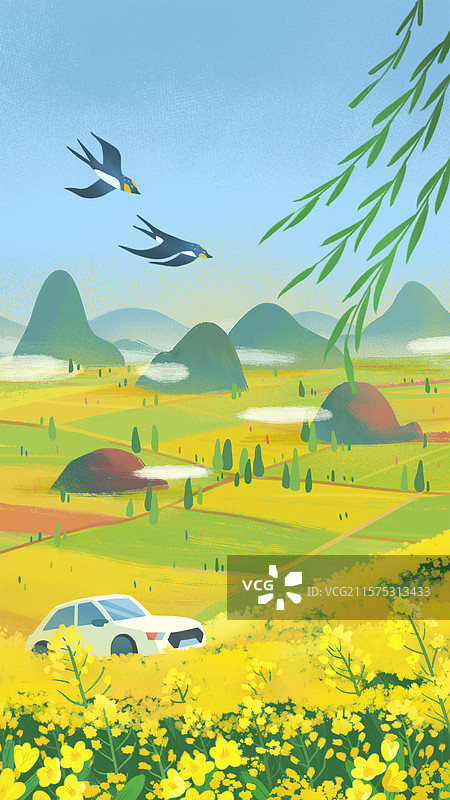 节气清明／油菜花田园风光图片素材