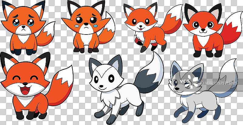 加拿大大理石狐设计动物设计图片素材