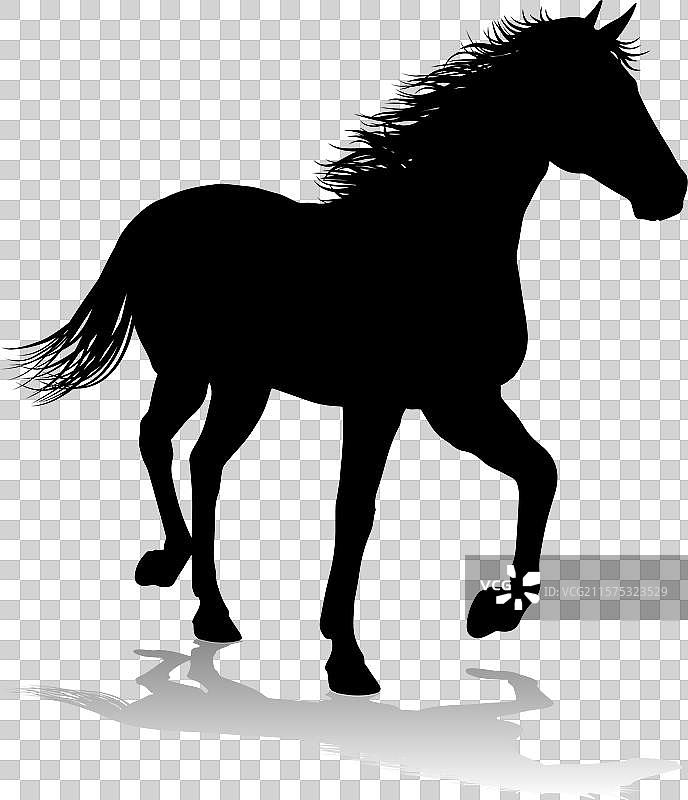 马的轮廓动物图片素材