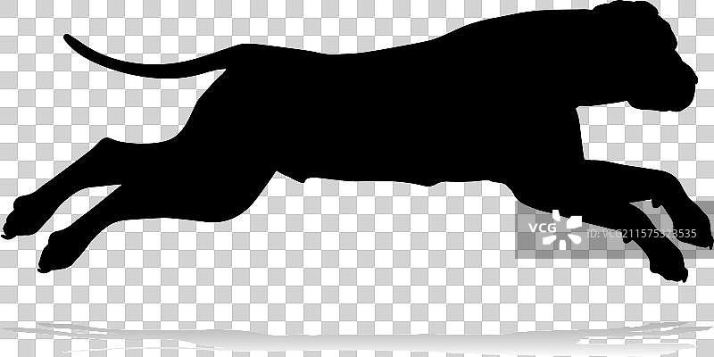 狗的轮廓宠物动物图片素材