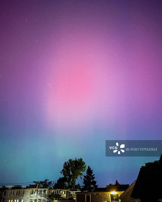 夜空下树木的低角度视图，马萨诸塞州萨默维尔，美国图片素材