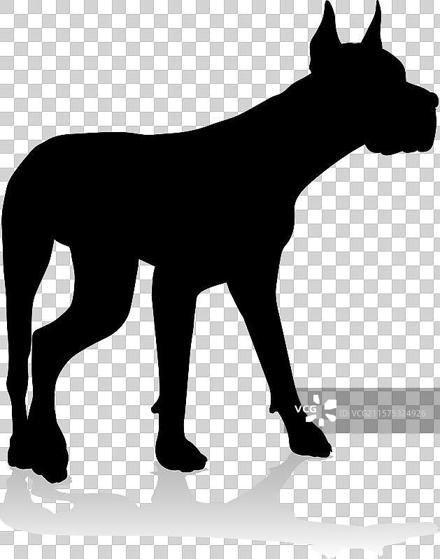 狗的轮廓宠物动物图片素材