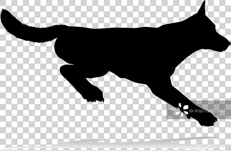 狗的轮廓宠物动物图片素材