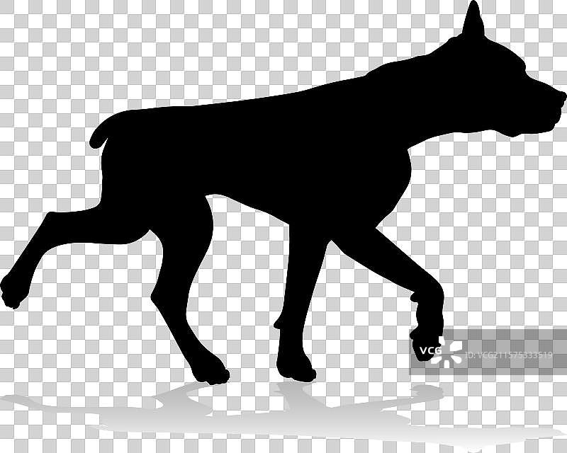 狗的轮廓宠物动物图片素材