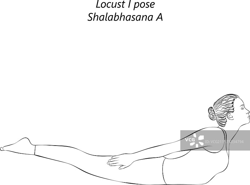 沙拉巴萨纳的瑜伽姿势草图图片素材