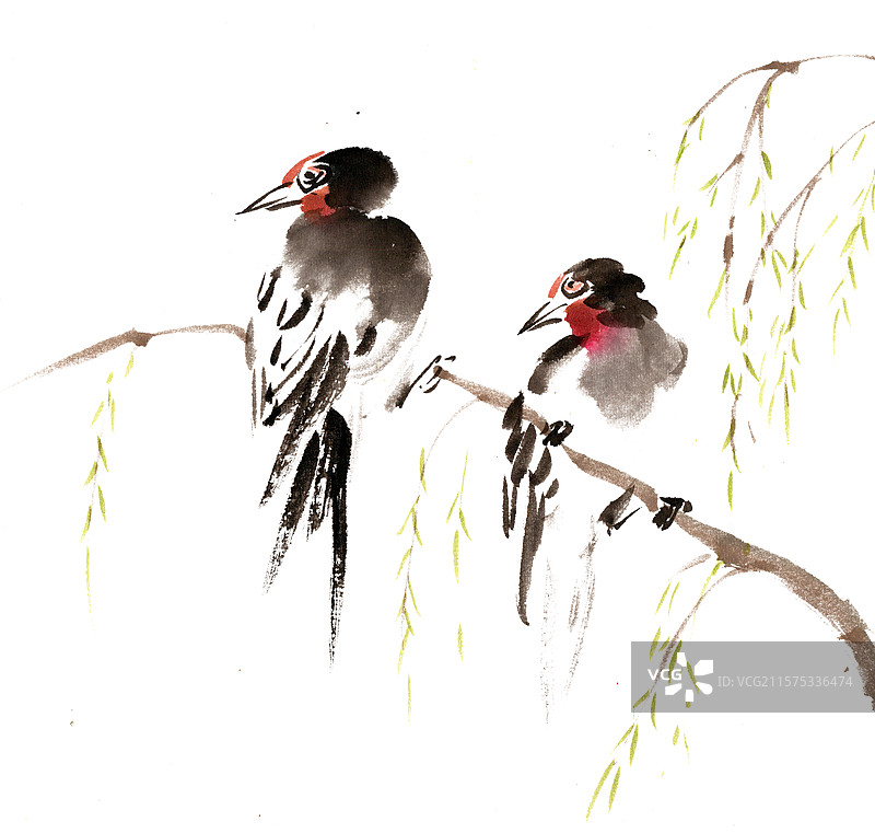 枝头的燕子图片素材