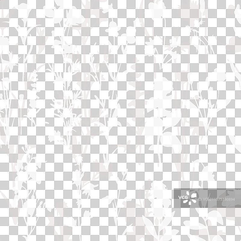 精致的野花草药图案图片素材