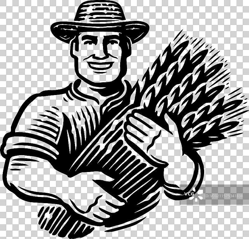 农民手持一束小麦，农业图片素材