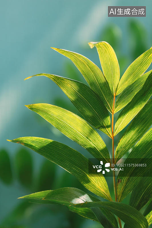【AI数字艺术】阳光下的翠绿棕榈叶图片素材