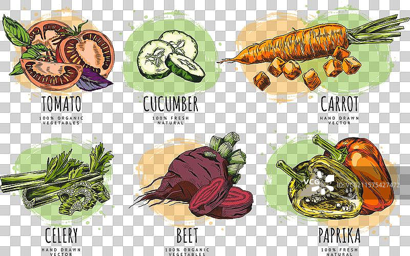 详细的蔬菜图标设计集合图片素材