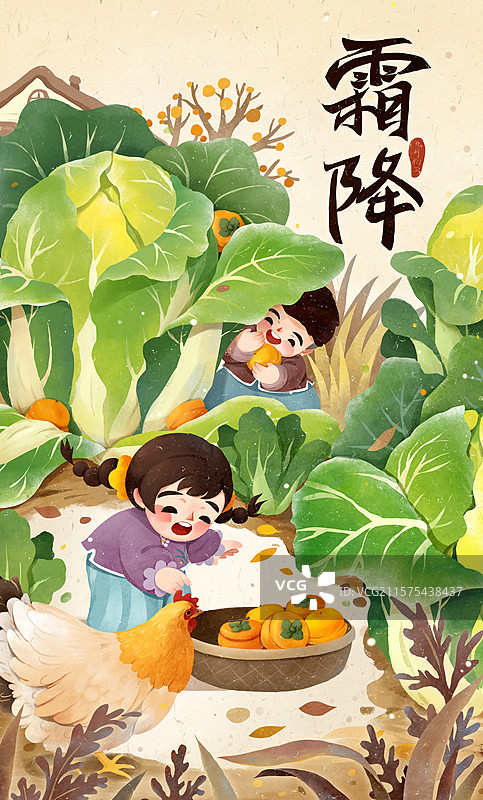 二十四节气霜降节气男孩女孩摘柿子藏柿子游戏和大白菜横版图片素材
