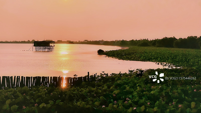 湖南益阳大通湖夏日晨曦图片素材