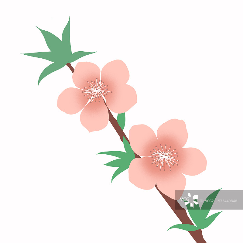 手绘粉色桃花花枝插画图片素材