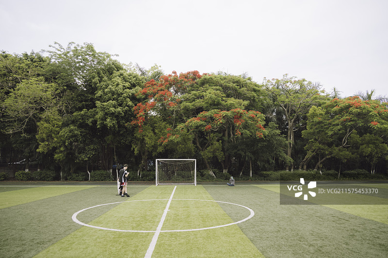 厦门大学建筑和上弦操场凤凰花图片素材