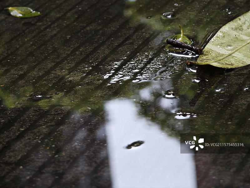 雨天 落叶 下雨 积水 地面 反光图片素材