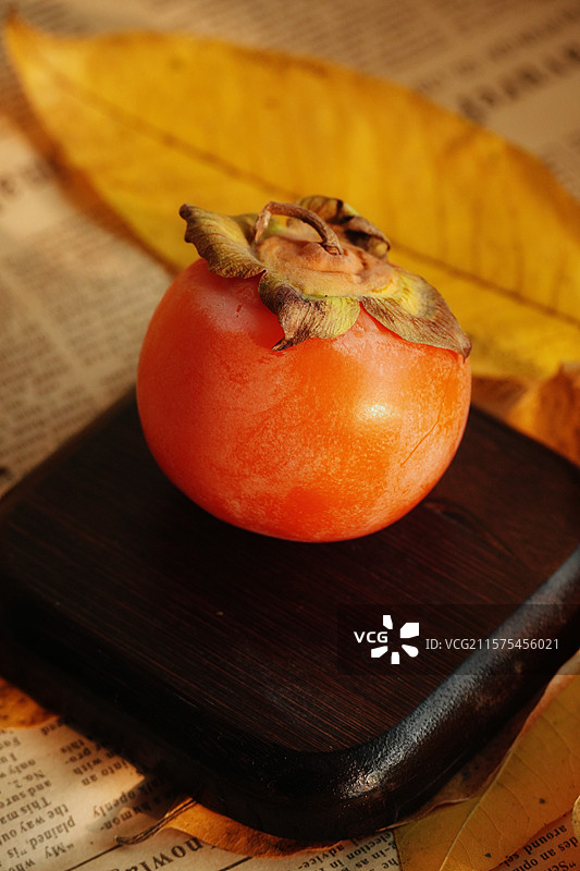 秋天的柿子图片素材