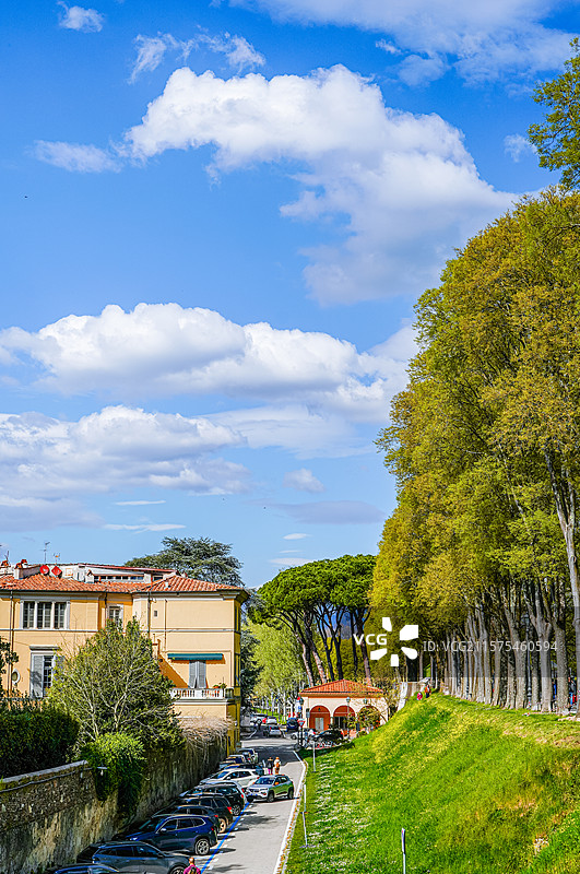 卢卡·Lucca图片素材