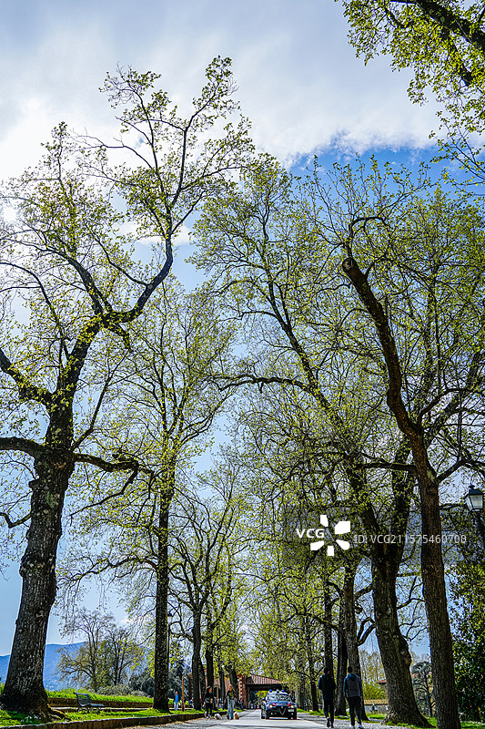 卢卡·Lucca图片素材