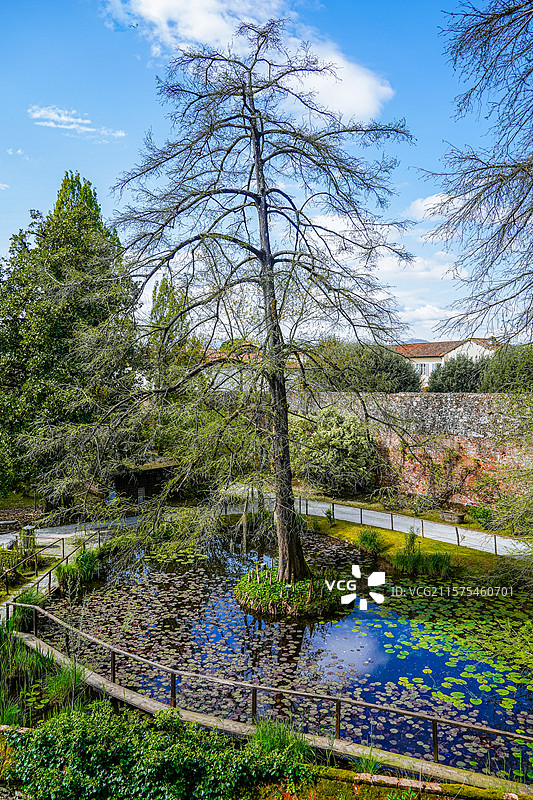 卢卡·Lucca图片素材