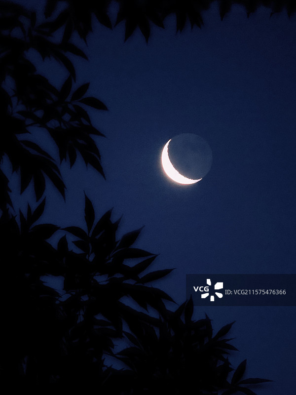 夏至残月图片素材