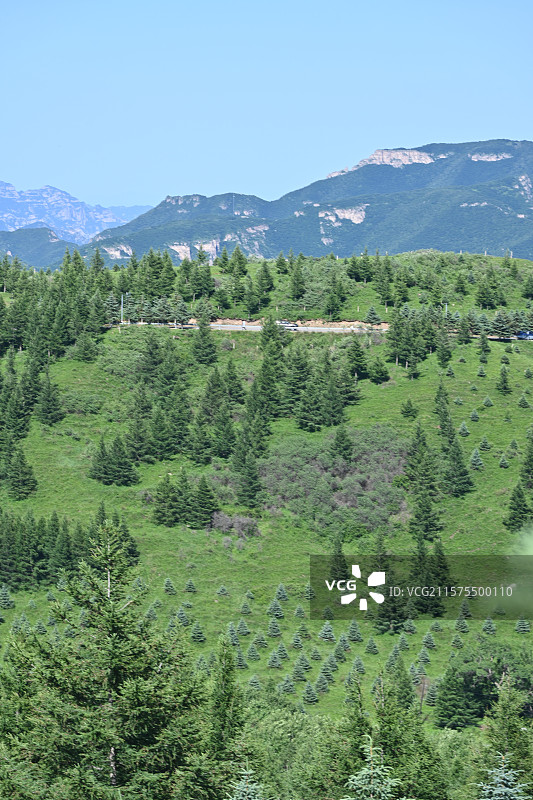 东灵山北京最高峰的盛夏图片素材