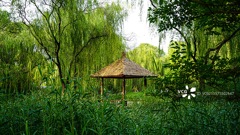 北京海淀公园绿树成荫休闲凉亭图片素材