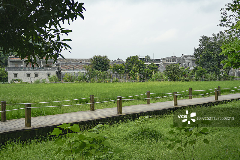 开平田园木栈道旁的碉楼与民居图片素材