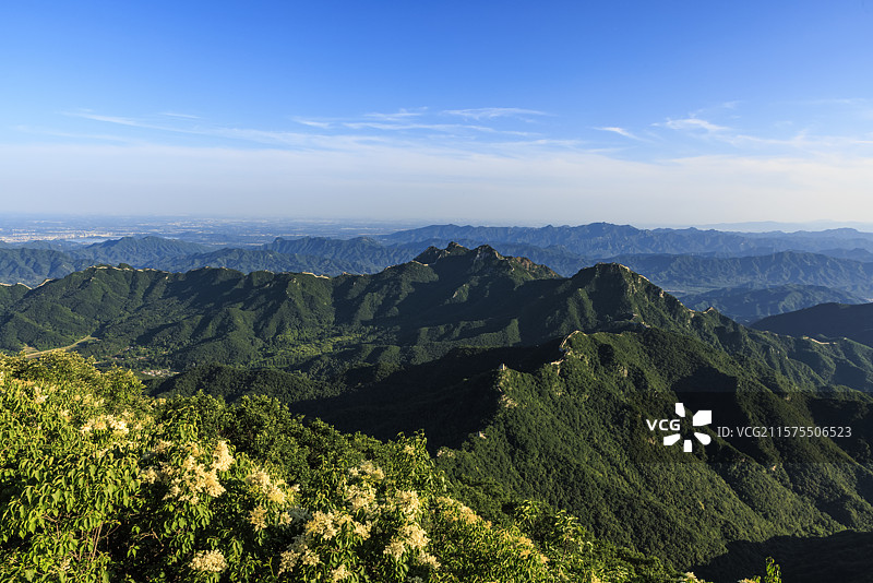 北京延庆夏至暴马丁香盛放香漫长城之巅图片素材